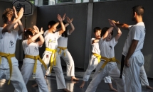 karate-lezione-2016-seishindo (26)