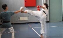 karate-lezione-2016-seishindo (28)