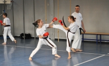 karate-lezione-2016-seishindo (29)