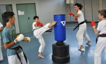 karate-lezione-2016-seishindo (3)