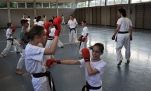 karate-lezione-2016-seishindo (30)
