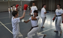 karate-lezione-2016-seishindo (31)