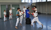 karate-lezione-2016-seishindo (34)