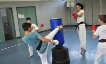 karate-lezione-2016-seishindo (4)