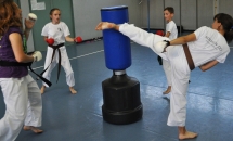 karate-lezione-2016-seishindo (5)