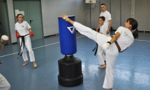 karate-lezione-2016-seishindo (7)