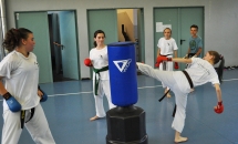 karate-lezione-2016-seishindo (9)