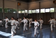 Stage Karate 10 Maggio - Seregno