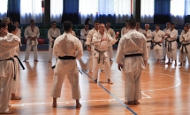 Stage Karate 14 Maggio 2017 a Castellanza