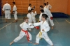 Stage Karate a Seregno 13 maggio 2012
