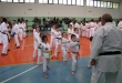 Stage di Karate a Zingonia, 03/05/2015