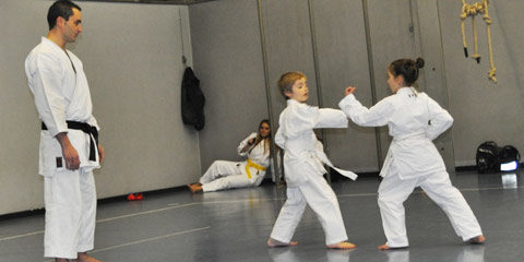 Esame di Karate a Seregno / SEISHINDO - Corsi di Karate per adulti e bambini a Seregno.